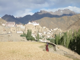 TRENTINO e LADAKH una lunga AMICIZIA -     ORIENT@MENTI  ODV
